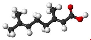 supporting image for Unit 4 Carboxylic acids and their derivatives - Blended Learning