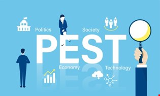 supporting image for A level - Unit 4 Pest Factors - Blended Learning