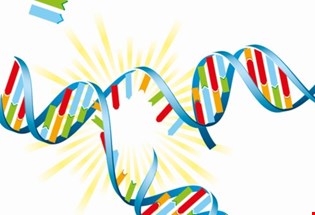 supporting image for Unit 1: Nucleic acids and their functions - Blended learning