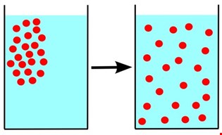 supporting image for Unit 1.1: Cells and movement across membranes - Blended learning