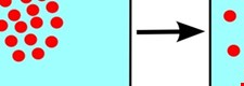 Unit 1.1: Cells and movement across membranes - Blended learning